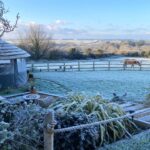 The Future of Garden Design  Bespoke Wooden Gazebos and Biodiversity Net Gain